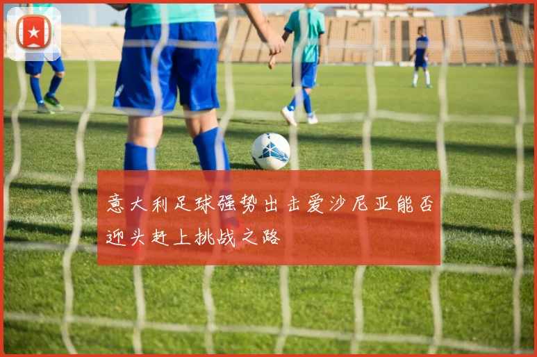 意大利足球强势出击爱沙尼亚能否迎头赶上挑战之路