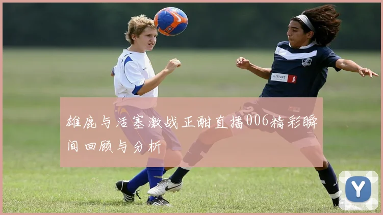 雄鹿与活塞激战正酣直播006精彩瞬间回顾与分析