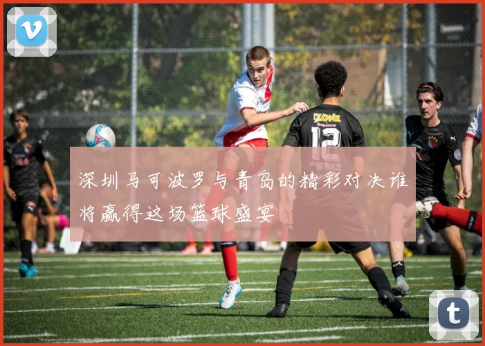 深圳马可波罗与青岛的精彩对决谁将赢得这场篮球盛宴