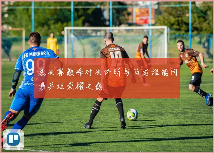 总决赛巅峰对决许昕与马龙谁能问鼎乒坛荣耀之巅