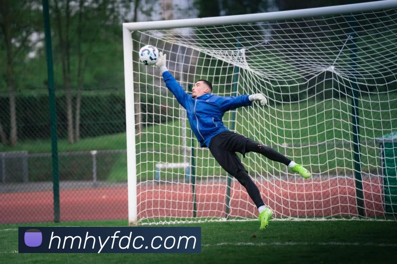 App Interface Preview